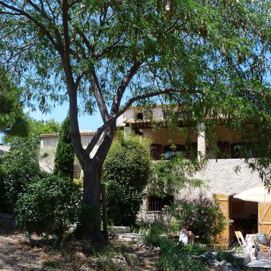 Bed & Breakfast Chez Nous